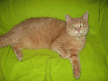 Clarence